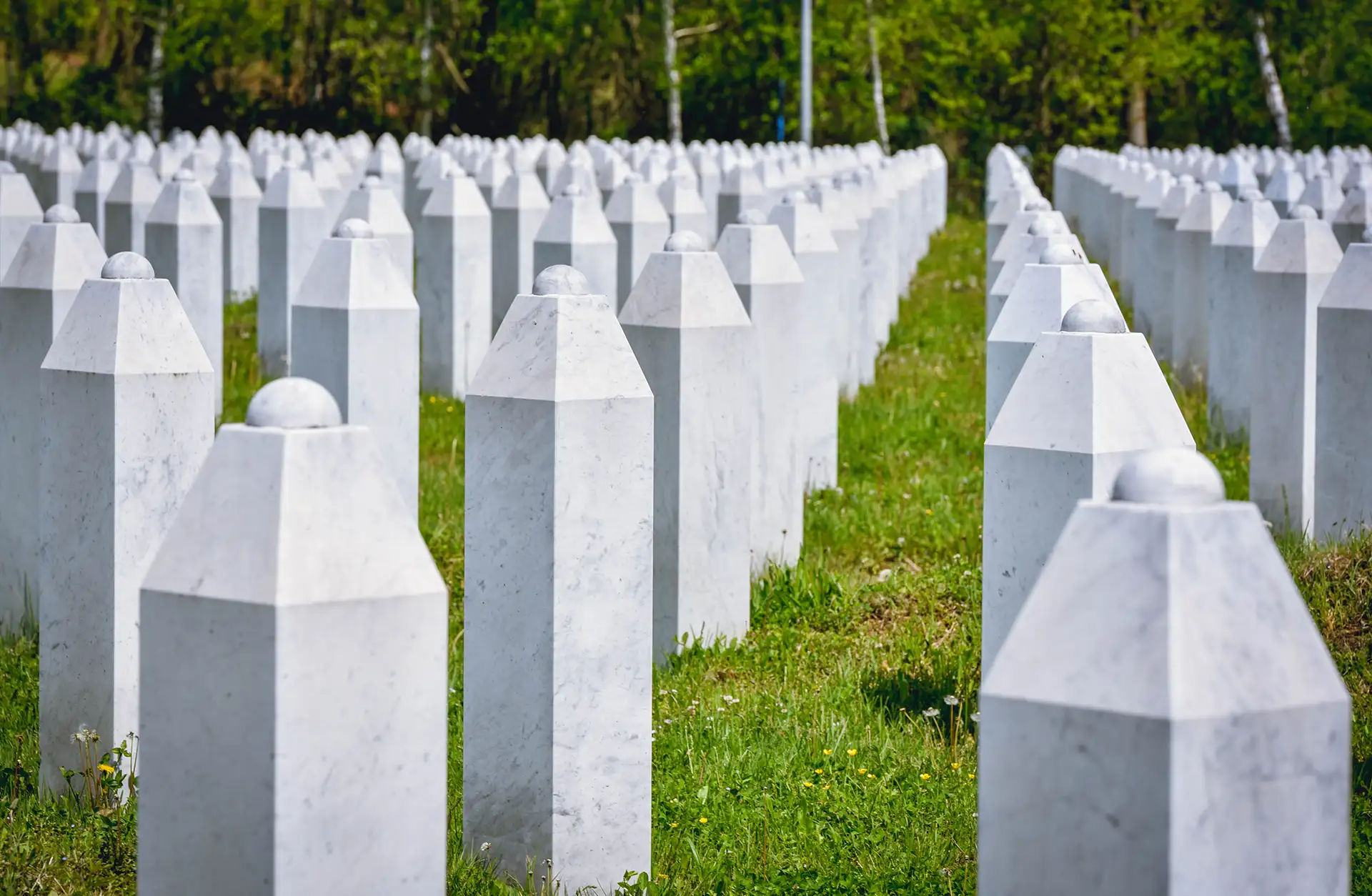 Remembrance and Reappraisal